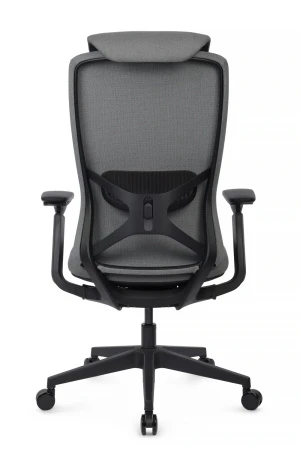 Эргономичные кресла - Кресло Gemini EGE-002A Черный пластик/Черный