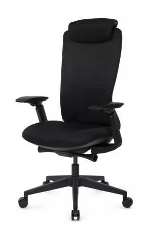Эргономичные кресла - Кресло Gemini EGE-002A Черный пластик/Черный