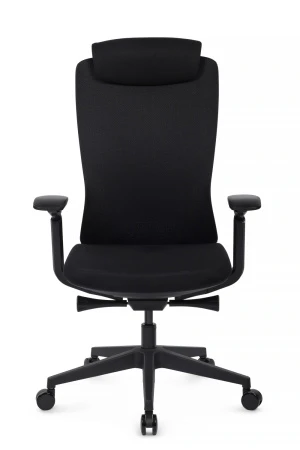 Эргономичные кресла - Кресло Gemini EGE-002A Черный пластик/Черный