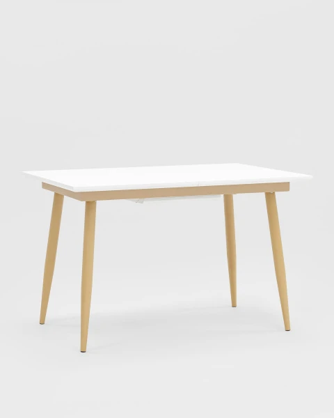 Купить Стол обеденный Стокгольм раскладной 120-160*80 белый по низкой цене