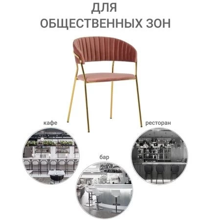 Купить Стул Turin пудровый с золотыми ножками в интернет-магазине КупиКресла.ру