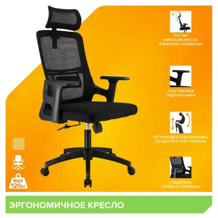 Эргономичные кресла - Кресло Everprof EP-530 Black (EP-530 Блэк) Сетка Черный