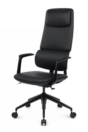 Кресла руководителя - Кресло Avorio FK014-A12 Черный