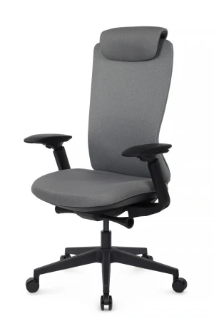 Эргономичные кресла - Кресло Gemini EGE-002A Черный пластик/Черный