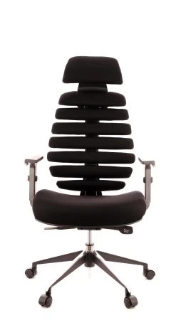 Кресло Everprof Ergo Black ткань черный