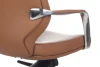 Кресла руководителя - Кресло Alonzo-M B1711 Светло-коричневый