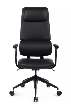 Кресла руководителя - Кресло Avorio FK014-A12 Черный