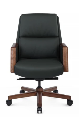 Кресла руководителя - Кресло Franco-M B2415-1 Зеленый