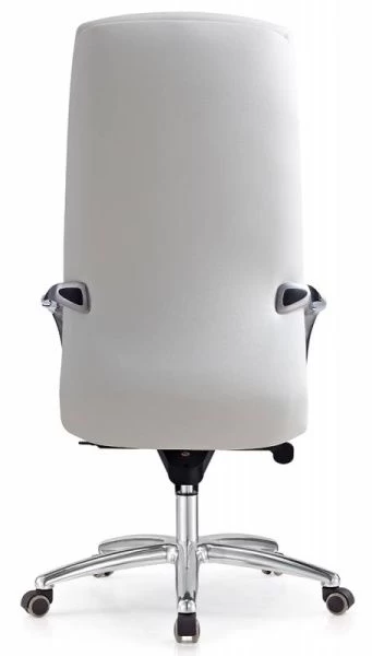 Кресло руководителя Бюрократ _DAO белый кожа крестовина алюминий | Купить в КупиКресла.ру