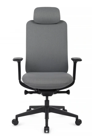 Эргономичные кресла - Кресло Antler EAN-001A Черный пластик/Черный