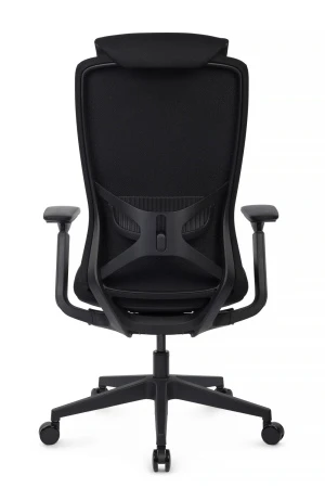 Эргономичные кресла - Кресло Gemini EGE-002A Черный пластик/Черный