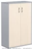 Шкаф СТ-2.3