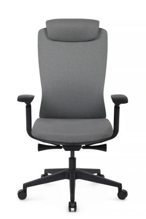 Эргономичные кресла - Кресло Gemini EGE-002A Черный пластик/Черный