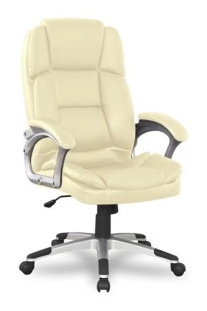 Кресло руководителя College BX-3323/Beige