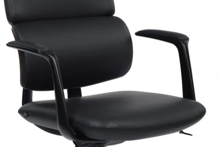 Кресла руководителя - Кресло Avorio-M FK014-B12 Черный