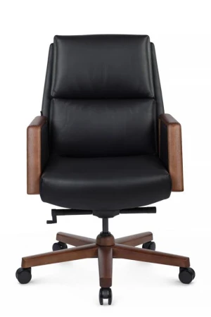 Кресла руководителя - Кресло Franco-M B2415-1 Черный