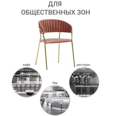 Купить Стул Turin пудровый с золотыми ножками в интернет-магазине КупиКресла.ру