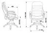 Кресла руководителя - Кресло руководителя Бюрократ T-9950LT коричневый Boroko-37 эко.кожа крестовина пластик