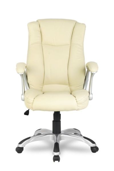 Кресло руководителя College HLC-0631-1/Beige